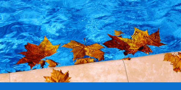 Pool Maintenance and Security for Fall and Winter: 7 Simple Steps